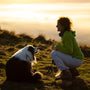 a person and a dog on a leash on a hill