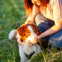 a woman petting a dog