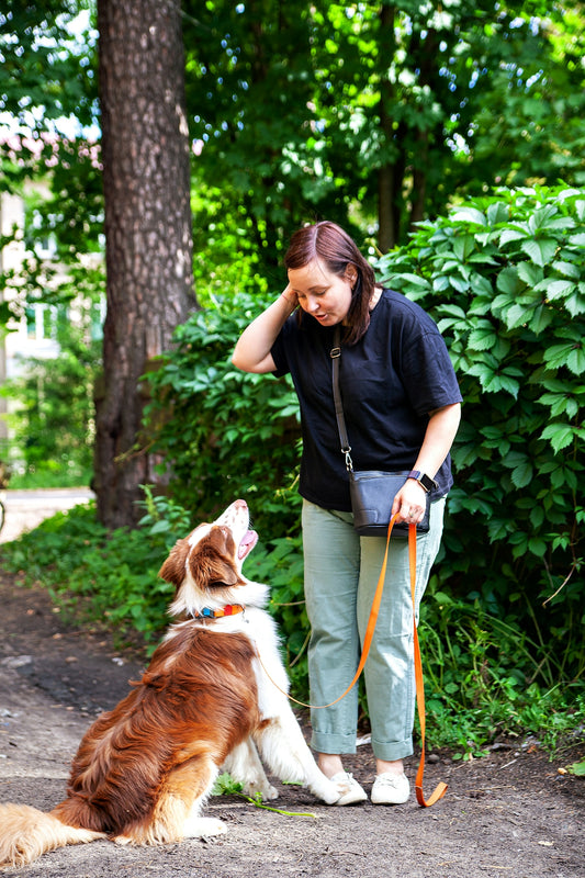 a man walking a dog