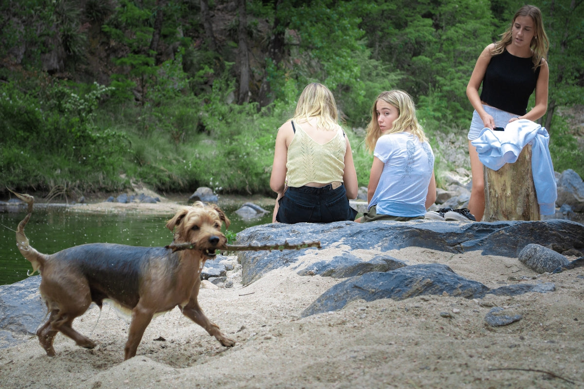 a group of women and a dog on a rocky beach