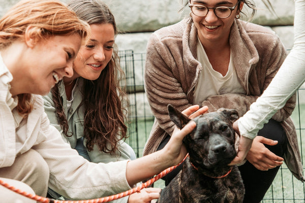 a group of women petting a dog on a leash