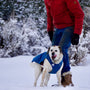 a man walking a dog in the snow