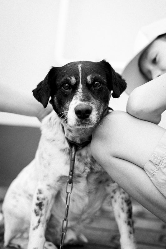 a black and white photo of a dog and a person