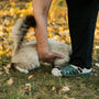 a person bending over to pet a cat