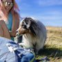 a woman sitting on the ground with a dog