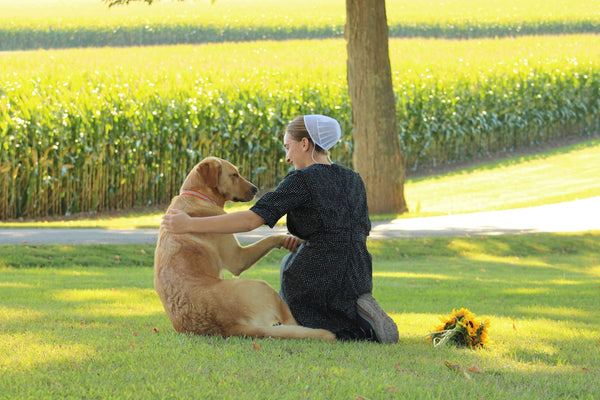 a woman sitting in the grass petting a dog