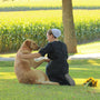 a woman sitting in the grass petting a dog