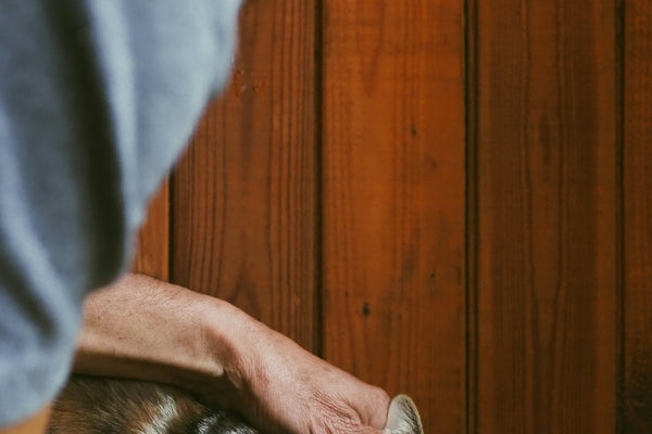 a man is petting a cat on the head