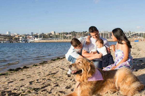 a group of people and a dog on a beach