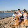 a group of people and a dog on a beach