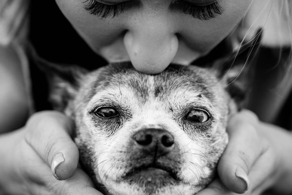a woman holding a dog in her hands