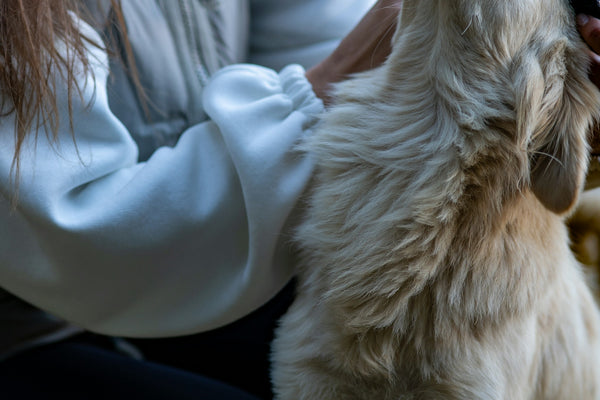 a woman is petting a small white dog