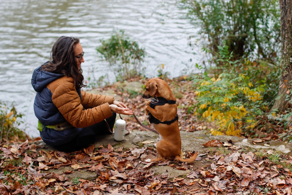 a woman kneeling down next to a brown dog