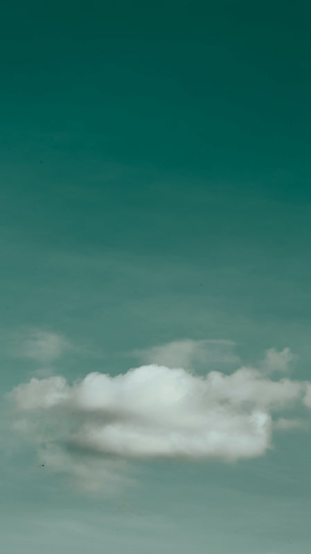 a plane flying in the sky with a cloud in the background