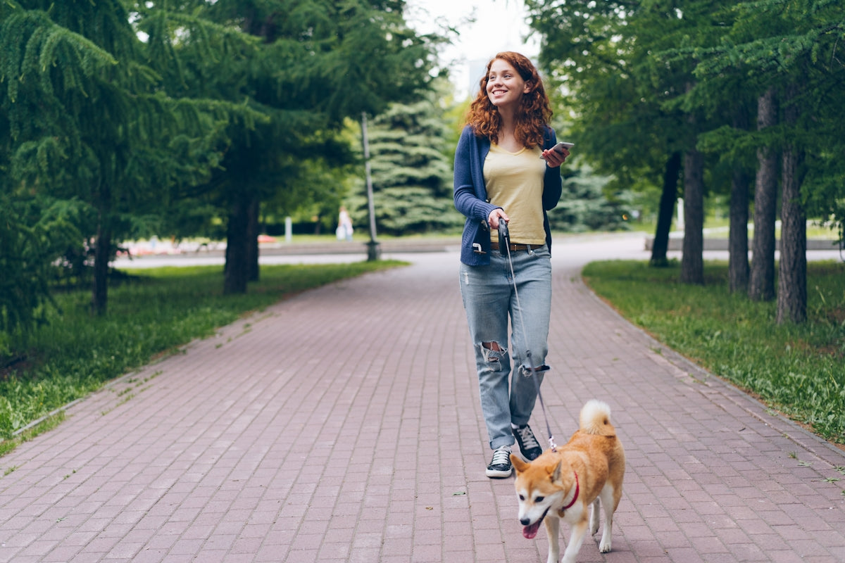 a woman walking a dog on a brick path