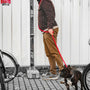 a man walking a dog on a leash