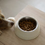 a brown and white dog eating food out of a bowl