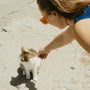 A woman petting a cat on the ground