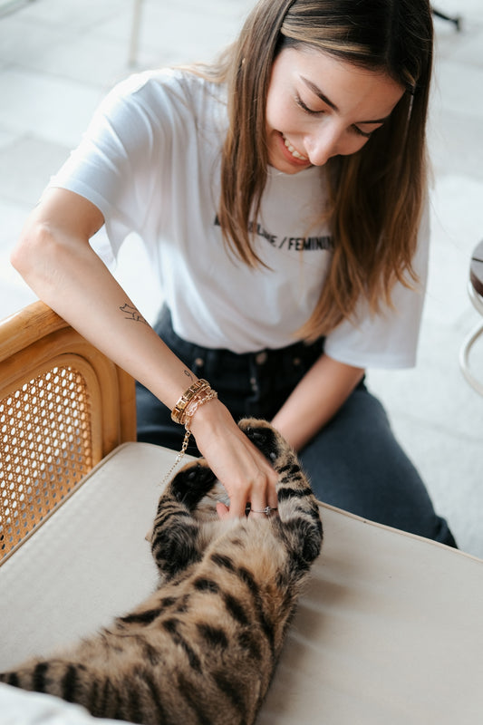 A woman petting a cat on the back of a chair