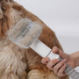 A dog being groomed with a hair dryer
