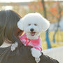 A woman holding a white dog in her arms