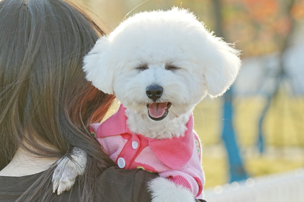 A woman holding a white dog in her arms