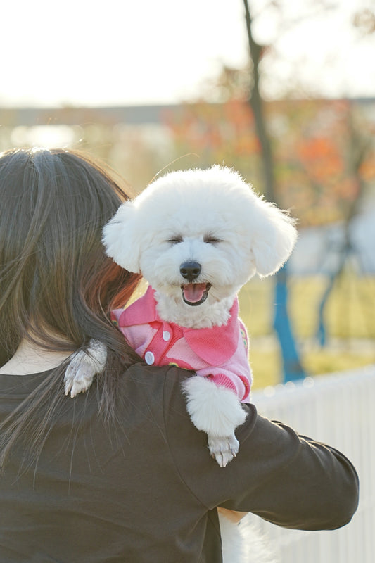 A woman holding a white dog in her arms