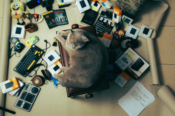 A cat laying on top of a chair covered in toys