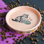 A bowl filled with dog food on top of a purple surface