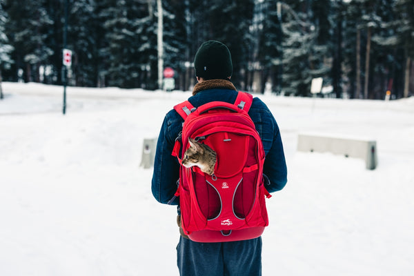 A person walking in the snow with a red backpack