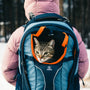 A person with a cat in a backpack