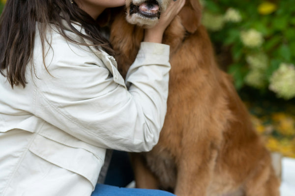 A woman sitting on the ground kissing a dog