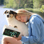 Girl and dog enjoy a book near a lake.