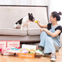 A woman feeds a dog on a couch.