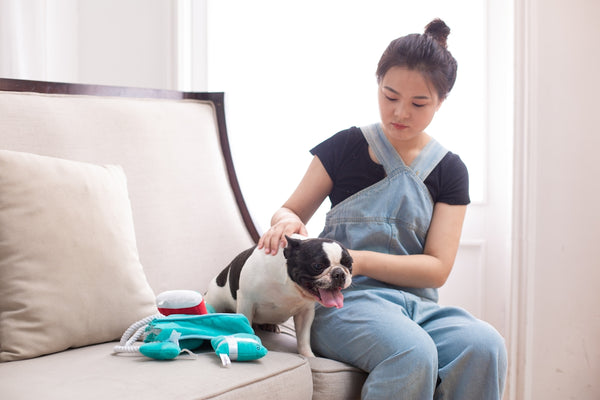 A woman pets her dog on a couch.