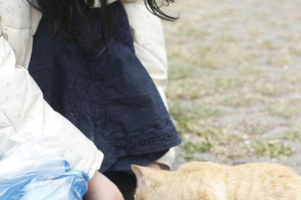 Woman feeds a cat some food outside.