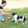 Woman plays with her dog outside.
