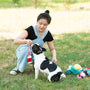 Woman plays with her dog in the grass.