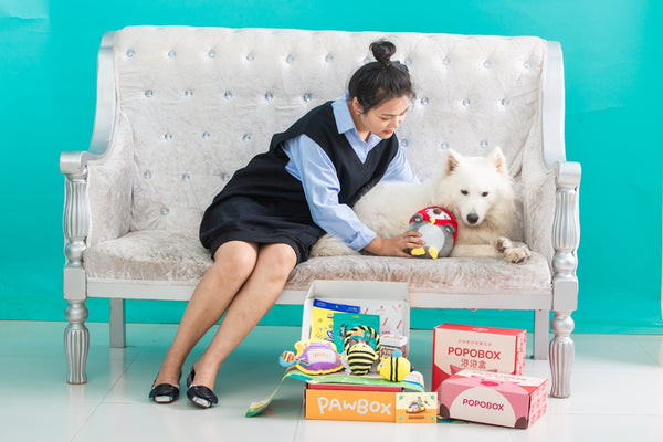 Woman and dog play with toys.