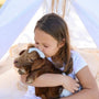 A girl hugs and kisses a baby goat.
