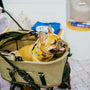 A french bulldog relaxes in a stroller.