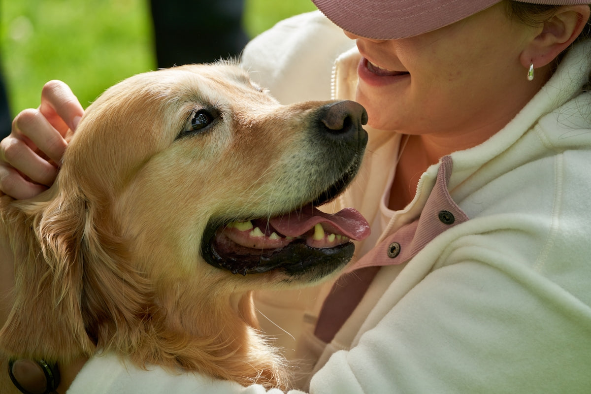 Woman lovingly pets her happy golden retriever.