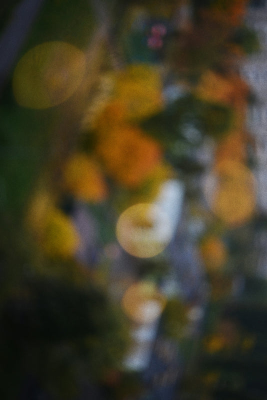 Blurred autumn leaves with bokeh lights