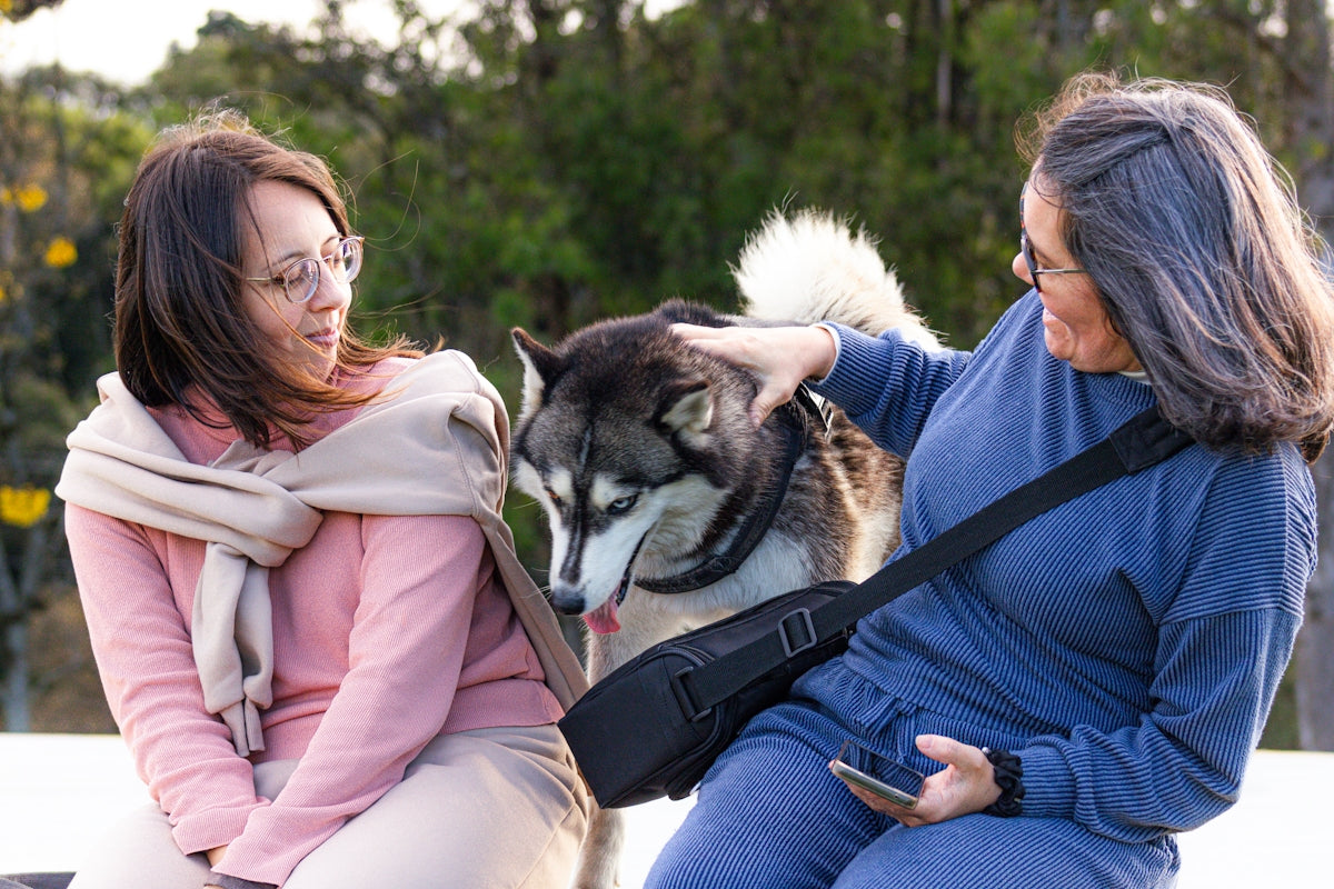 Two women petting a husky dog outdoors
