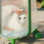 White cat with orange markings in a clear carrier.