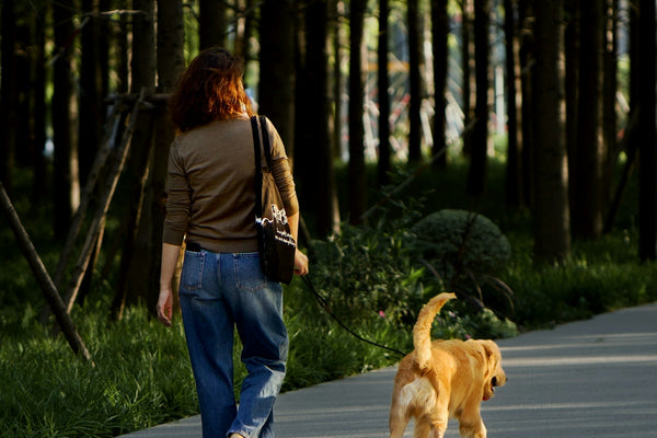 Woman walks dog on path through trees