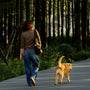 Woman walks dog on path through trees