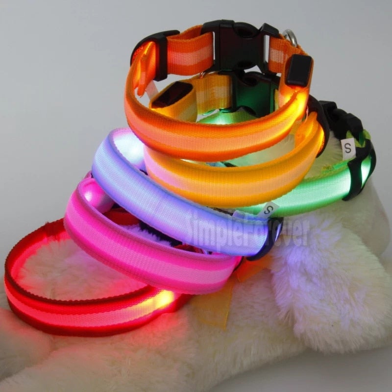 Pet Collars and Leashes