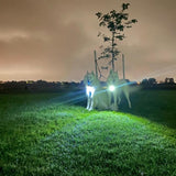 Canine Headlight Harness