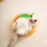 Cat Bed, Cat Scratching Board &Quality